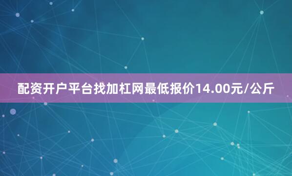 配资开户平台找加杠网最低报价14.00元/公斤