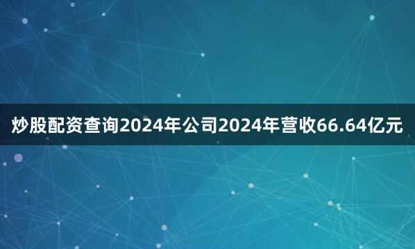 炒股配资查询2024年公司2024年营收66.64亿元