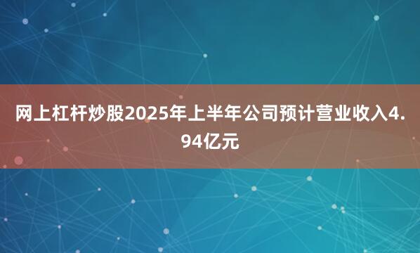 网上杠杆炒股2025年上半年公司预计营业收入4.94亿元