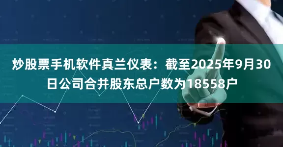 炒股票手机软件真兰仪表：截至2025年9月30日公司合并股东总户数为18558户